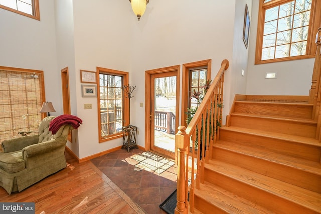 foyer featuring a high ceiling and wood-type flooring