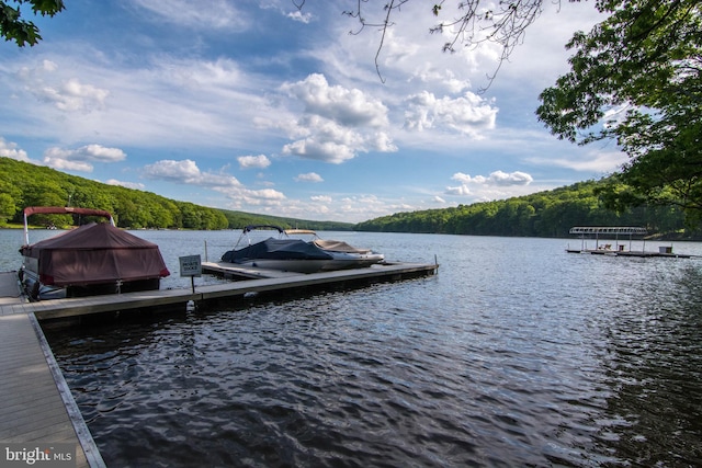 dock area featuring a water view