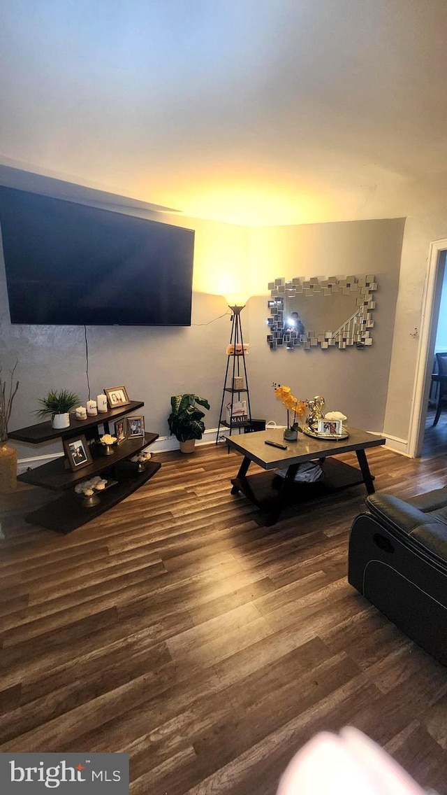 living room with wood-type flooring