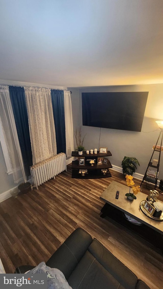 living room featuring wood-type flooring