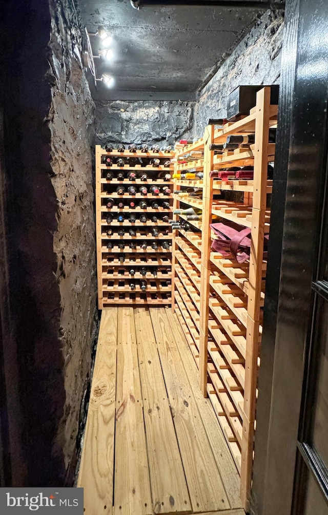 wine room featuring wood-type flooring