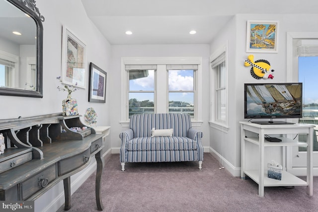 living area with dark colored carpet