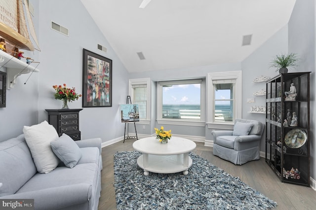 living room featuring hardwood / wood-style flooring and high vaulted ceiling