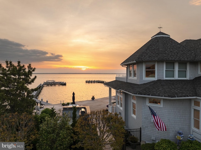 water view featuring a boat dock