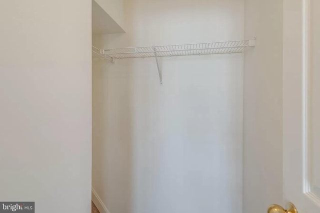 view of closet