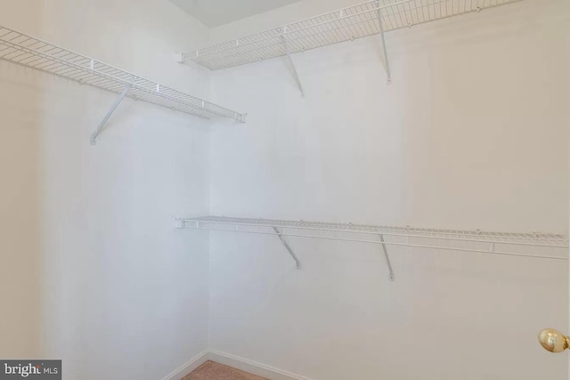 view of walk in closet