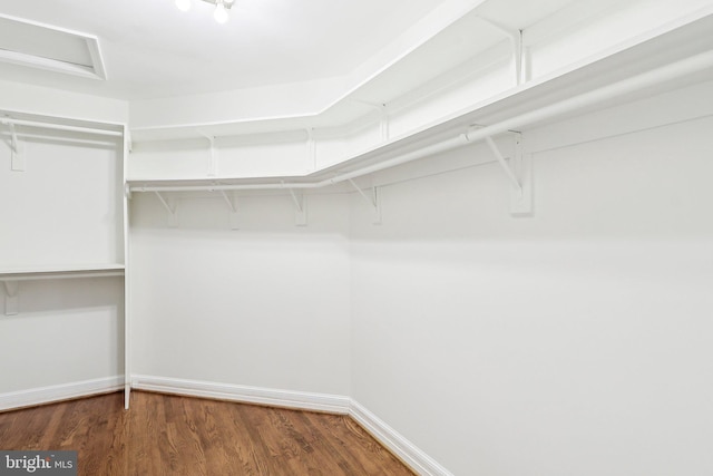 walk in closet featuring dark hardwood / wood-style flooring