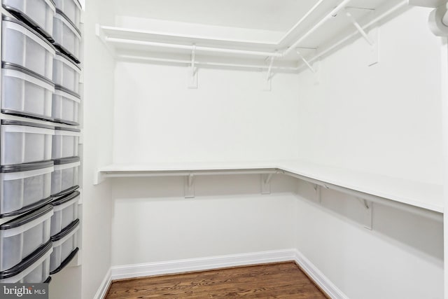 spacious closet featuring dark hardwood / wood-style flooring