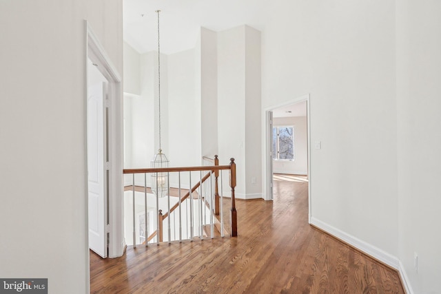 corridor with wood-type flooring