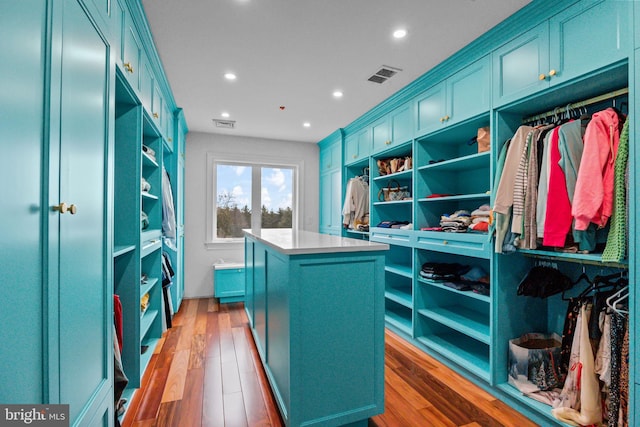 walk in closet with wood-type flooring