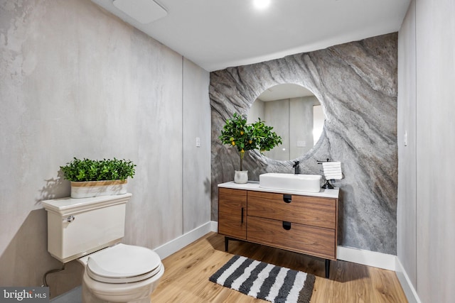 bathroom featuring toilet, vanity, and wood-type flooring