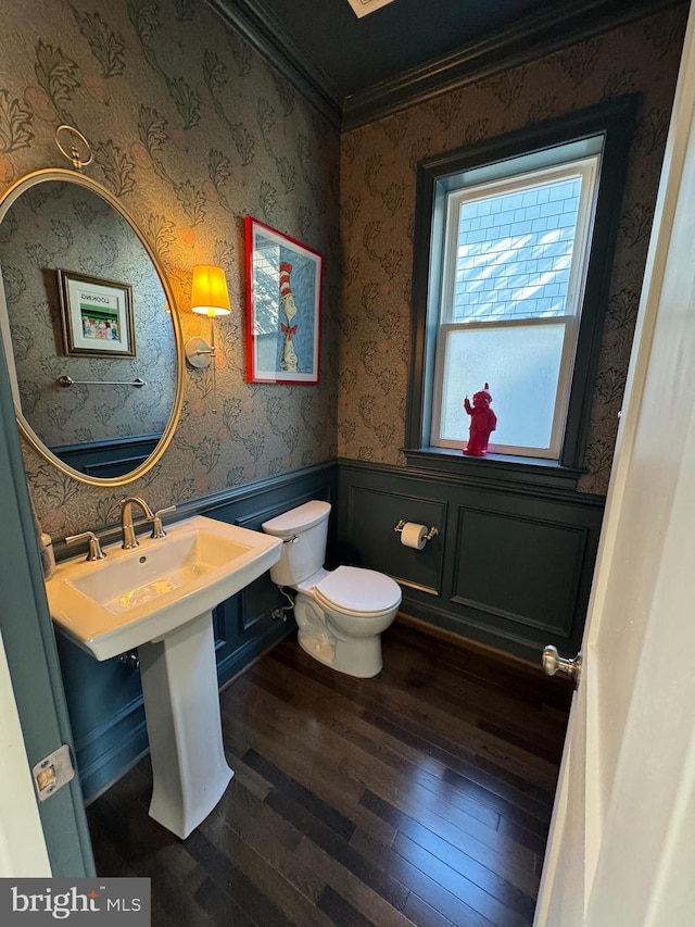 bathroom with wood-type flooring, sink, crown molding, and toilet