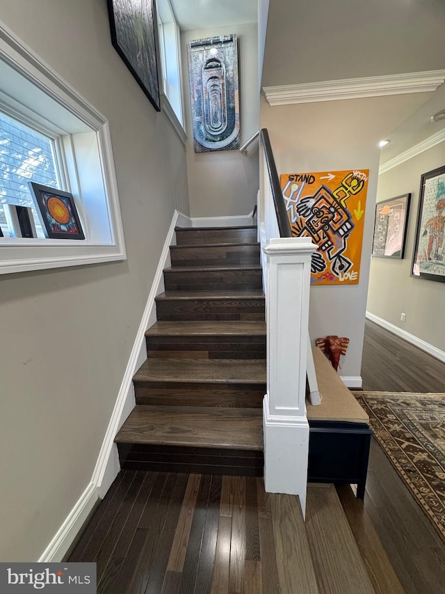 stairway with hardwood / wood-style flooring