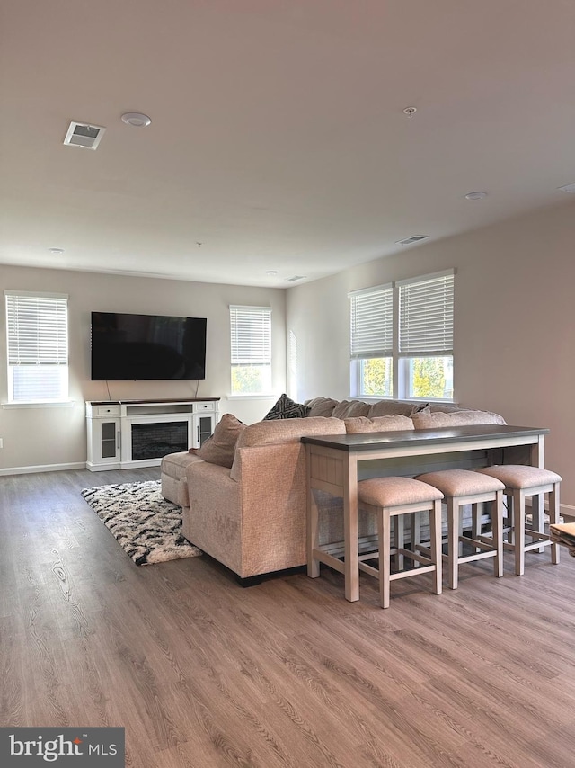 living room featuring hardwood / wood-style floors