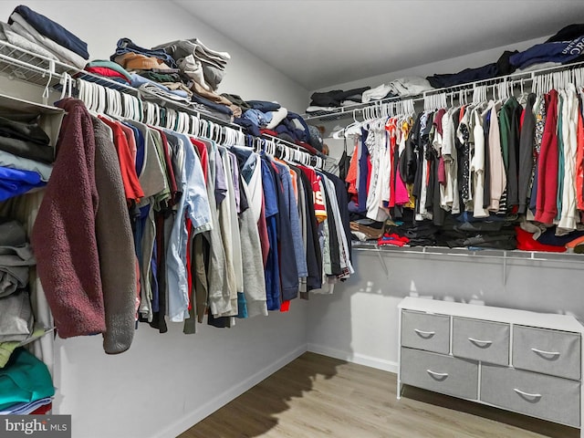 spacious closet with light hardwood / wood-style flooring