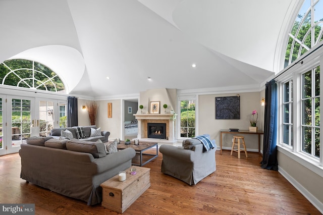 living room with wood-type flooring, high vaulted ceiling, and a large fireplace