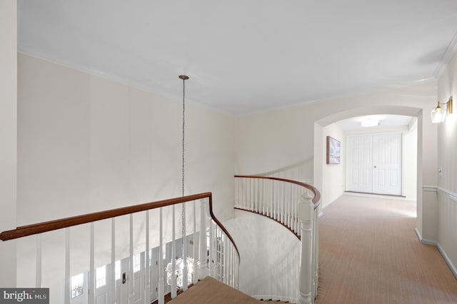 staircase featuring crown molding and carpet floors