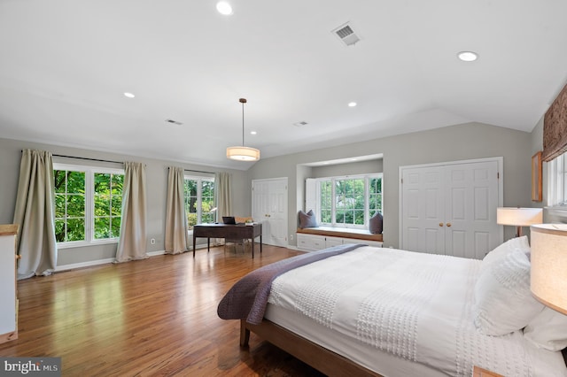 bedroom featuring multiple windows, vaulted ceiling, hardwood / wood-style floors, and two closets