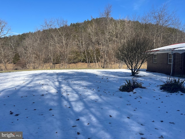 view of snowy yard