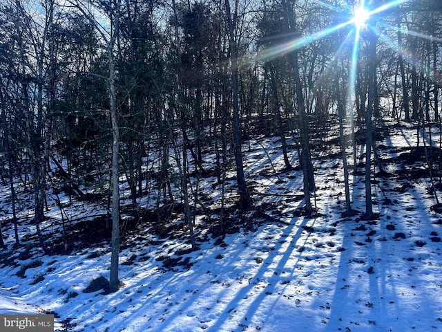 view of snowy landscape