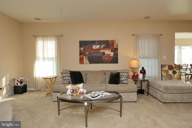 living room with carpet