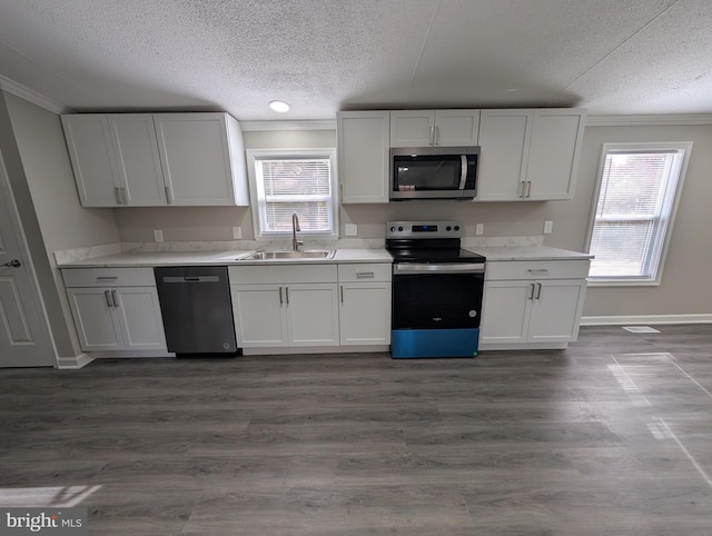 kitchen featuring white cabinetry, stainless steel appliances, and sink