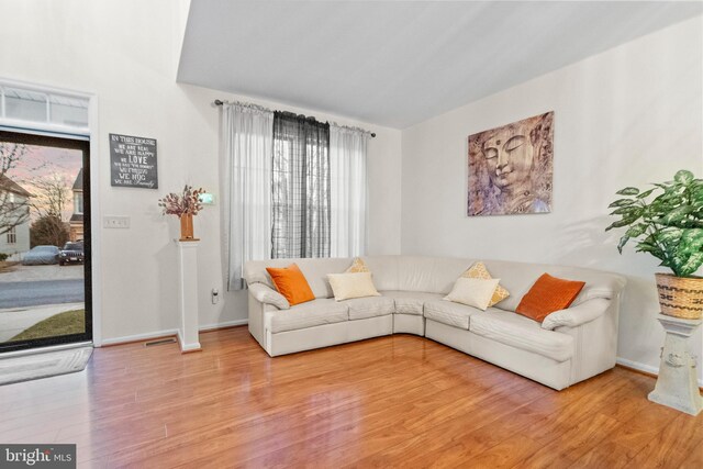 living room with light wood-type flooring