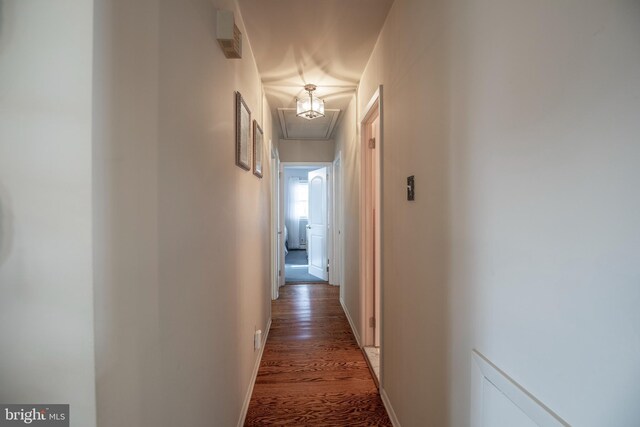 hall with dark hardwood / wood-style floors