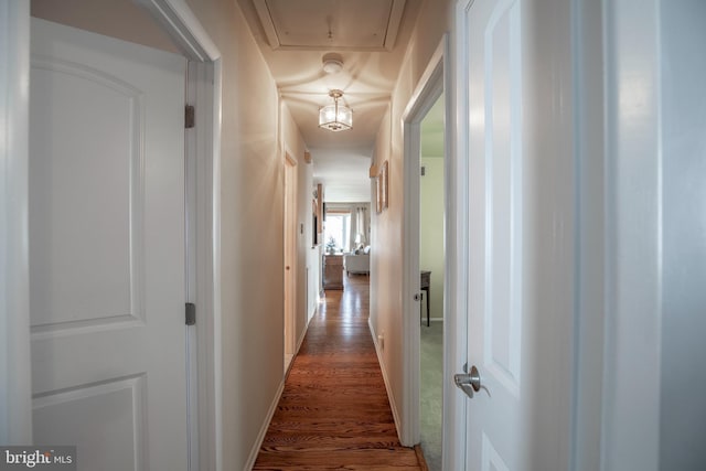 corridor with dark wood-type flooring