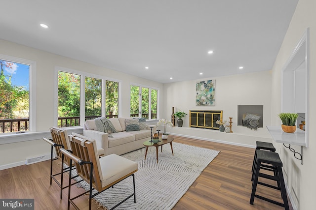 living room featuring hardwood / wood-style flooring