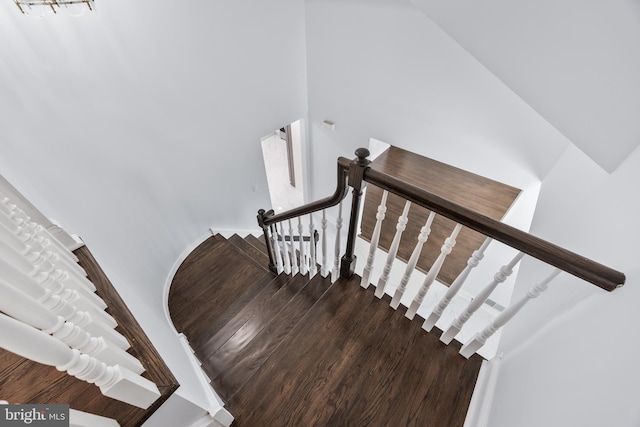 stairway with wood-type flooring