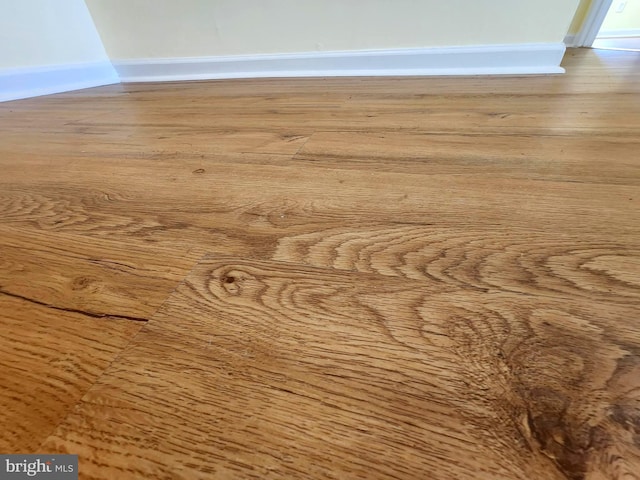 room details with hardwood / wood-style floors