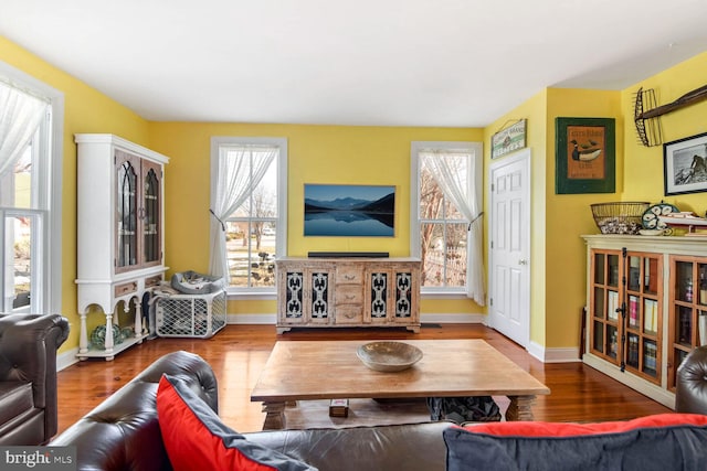 living room with hardwood / wood-style flooring