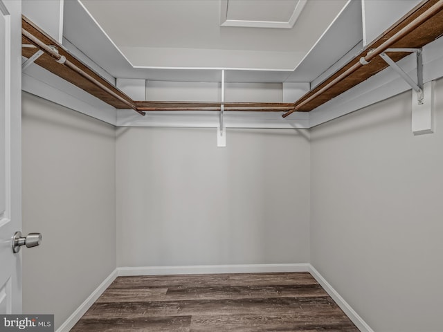 walk in closet with wood-type flooring