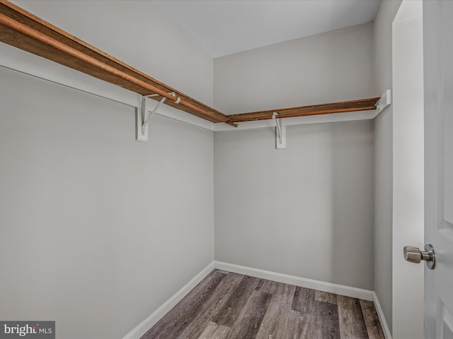 walk in closet with wood-type flooring