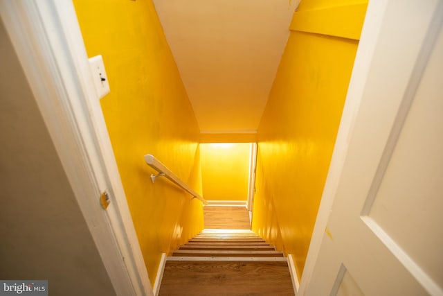 stairs featuring wood-type flooring