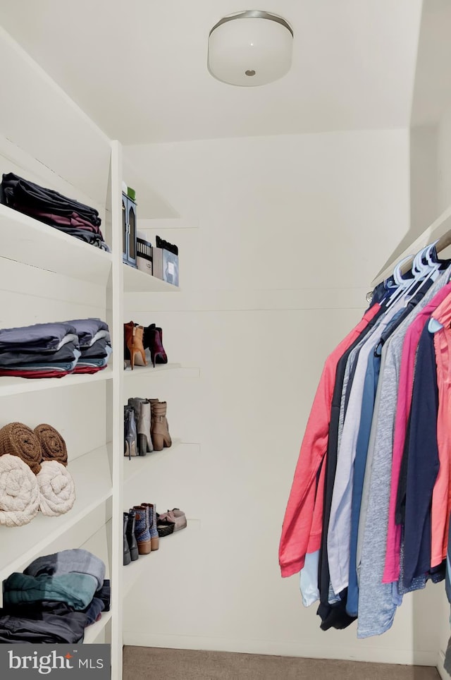 walk in closet with carpet