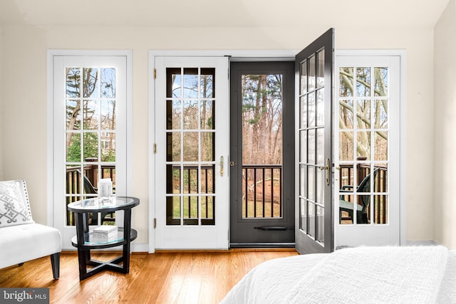 bedroom featuring multiple windows and light wood-type flooring