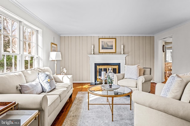 living room featuring ornamental molding and hardwood / wood-style floors