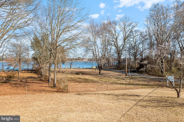 view of yard with a water view