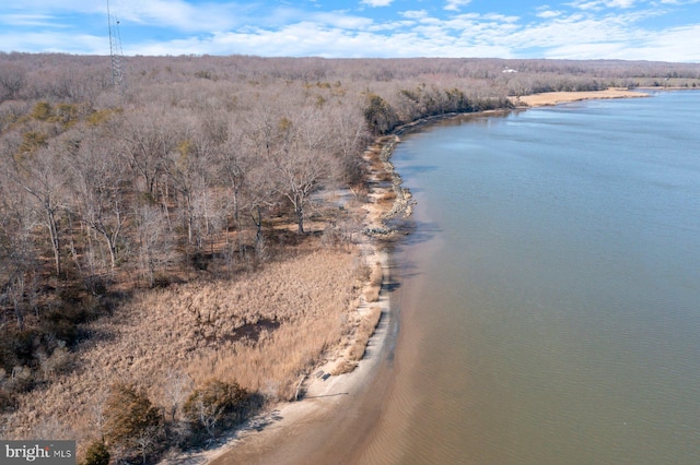 aerial view featuring a water view and a view of trees