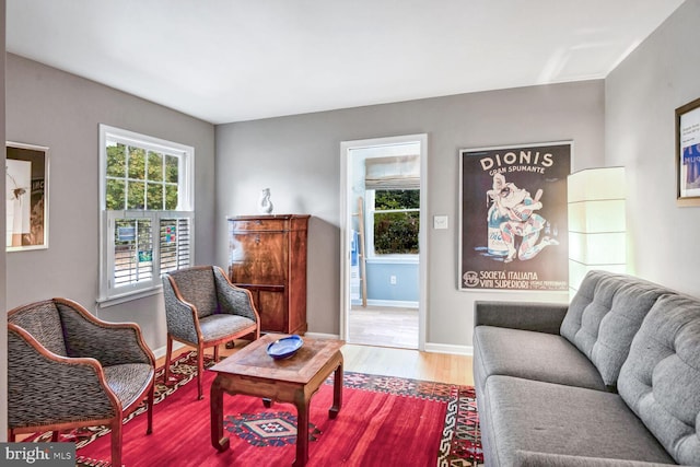 living room featuring plenty of natural light and hardwood / wood-style floors