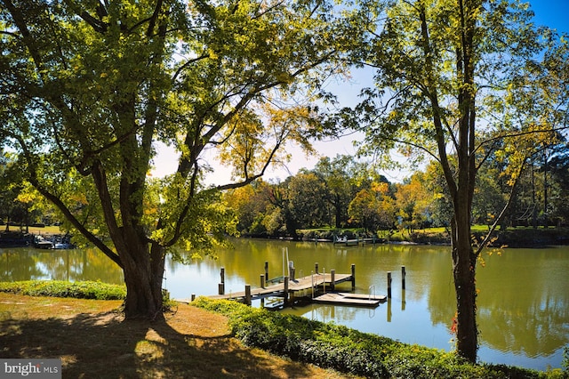 view of dock with a water view