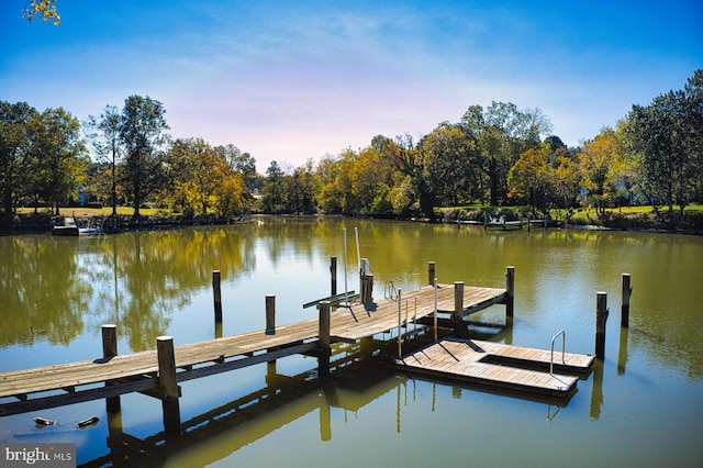 dock area with a water view