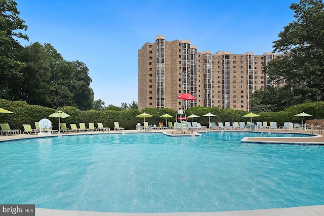 pool with a patio area