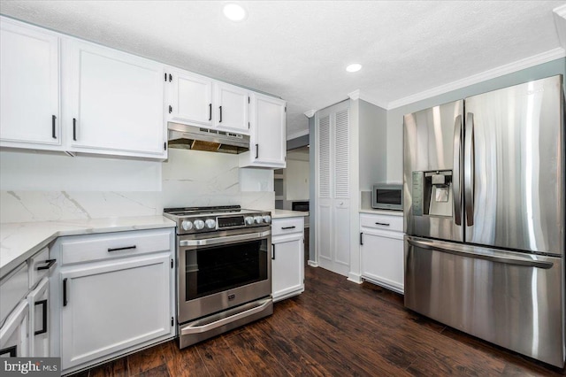 kitchen featuring white cabinetry, light stone counters, dark wood-type flooring, and appliances with stainless steel finishes