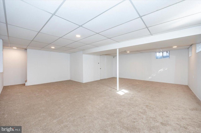 basement featuring carpet floors and a paneled ceiling