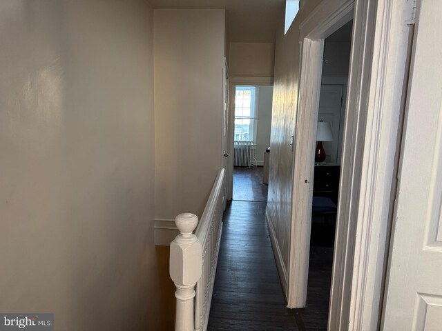 hall featuring radiator heating unit and dark hardwood / wood-style floors