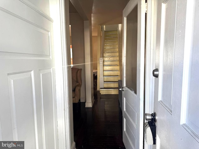 hall featuring dark hardwood / wood-style floors