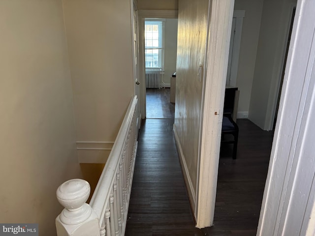 hallway with dark hardwood / wood-style flooring and radiator